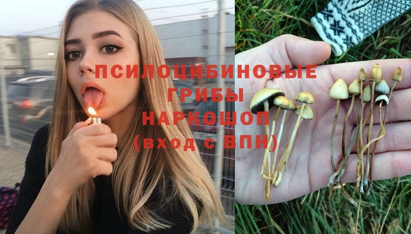 герыч Елабуга