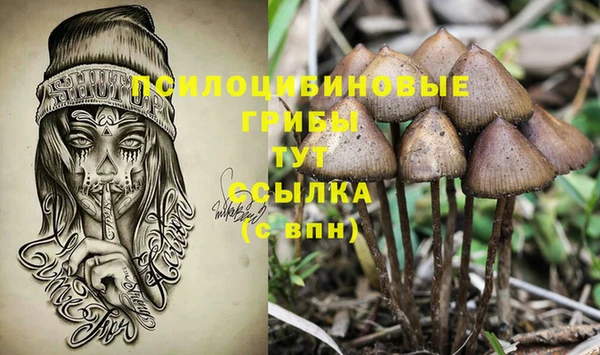 кокс Надым