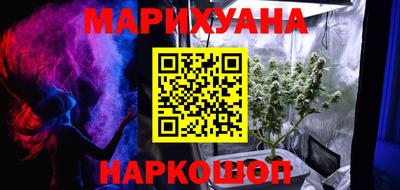 тгк Бийск