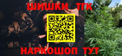 тгк Бийск
