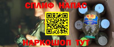 тгк Бийск