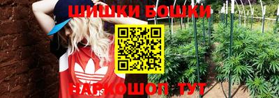 spice Берёзовский