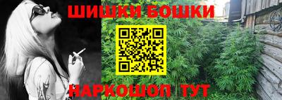тгк Бийск