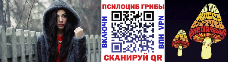 Галлюциногенные грибы Cubensis  где продают наркотики  KRAKEN зеркало  Елизово 