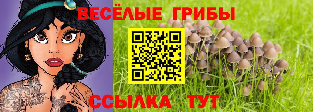 Псилоцибиновые грибы мицелий Елизово