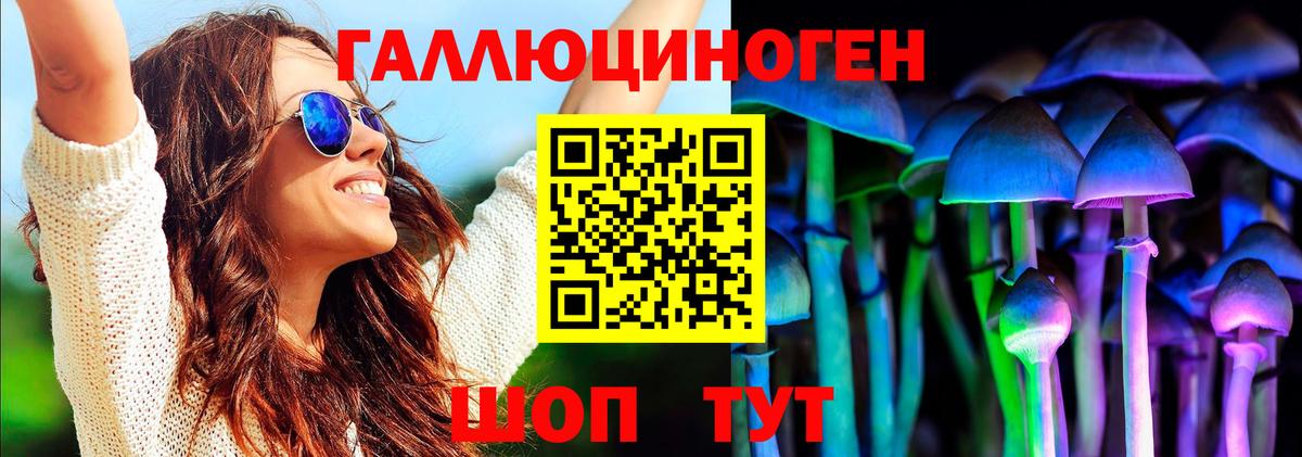 Галлюциногенные грибы Psilocybine cubensis  Елизово 